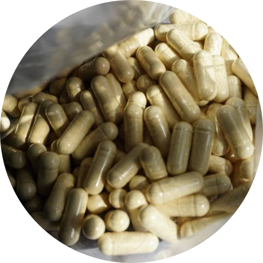 maca bio du pérou en gélules